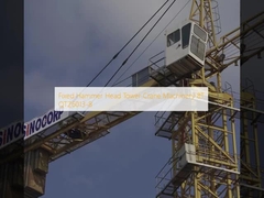 Stetige Maschinen für die Herstellung von Turmkranichen mit Hammerkopf 8T QTZ6013-8